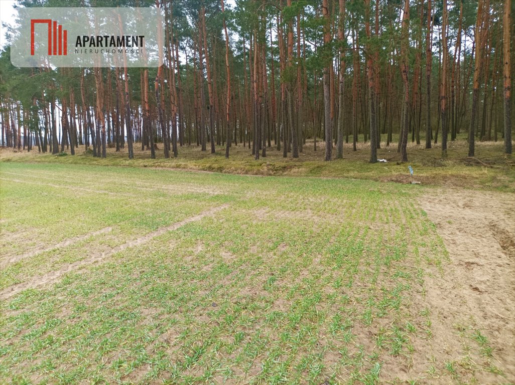 Działka budowlana na sprzedaż Borówno  1 831m2 Foto 4