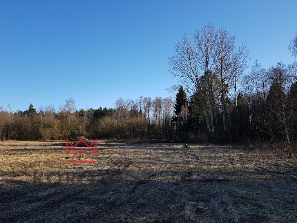 Działka 21 898 m² pod Białymstokiem, media, blisko granicy Osowicze  21 898m2 Foto 1