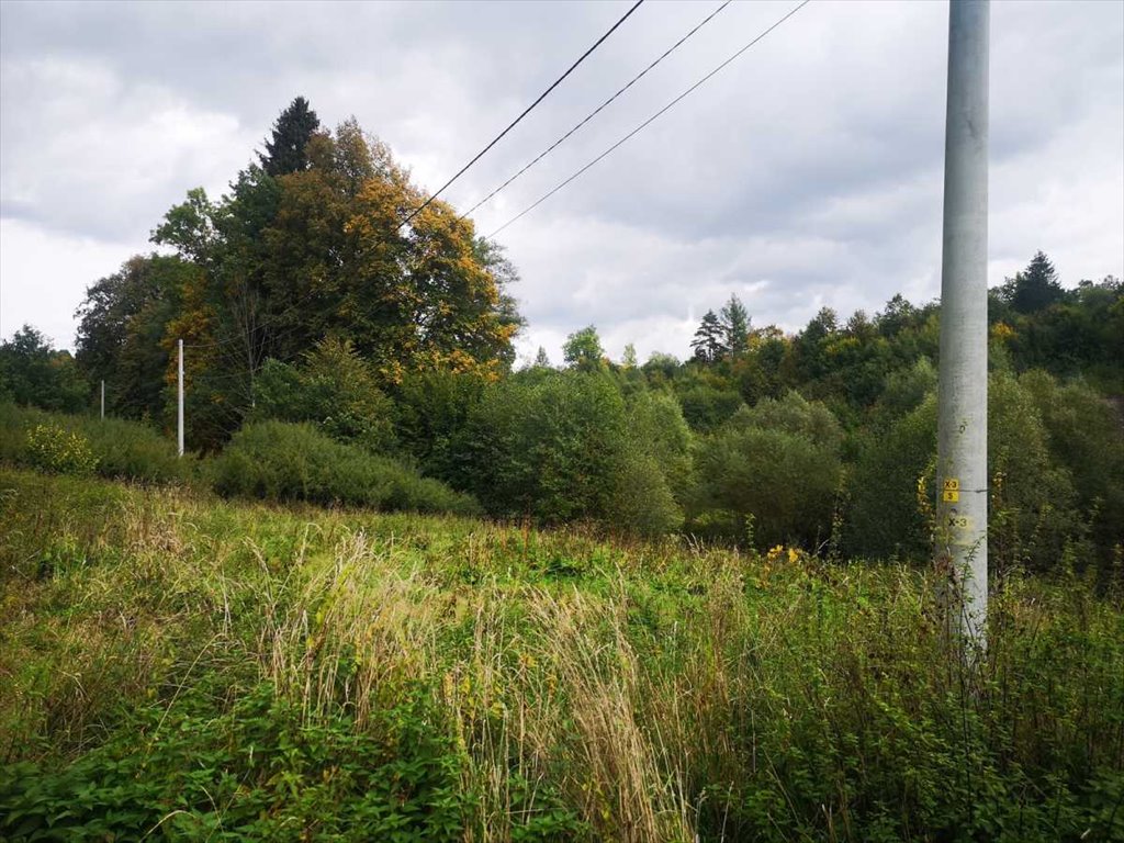 Działka inna na sprzedaż Długopole Górne  2 700m2 Foto 1