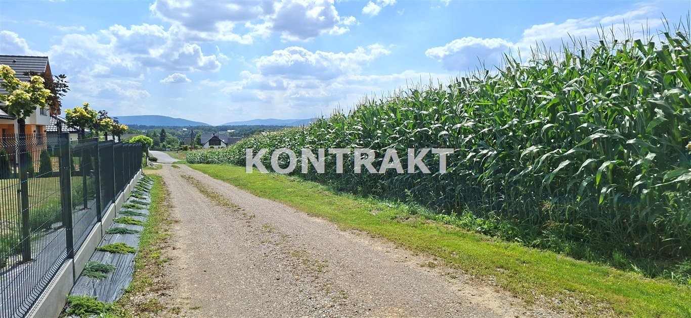Do sprzedania działka 23 ar z widokiem na góry w Osieku Osiek, Słoneczna  2 286m2 Foto 1