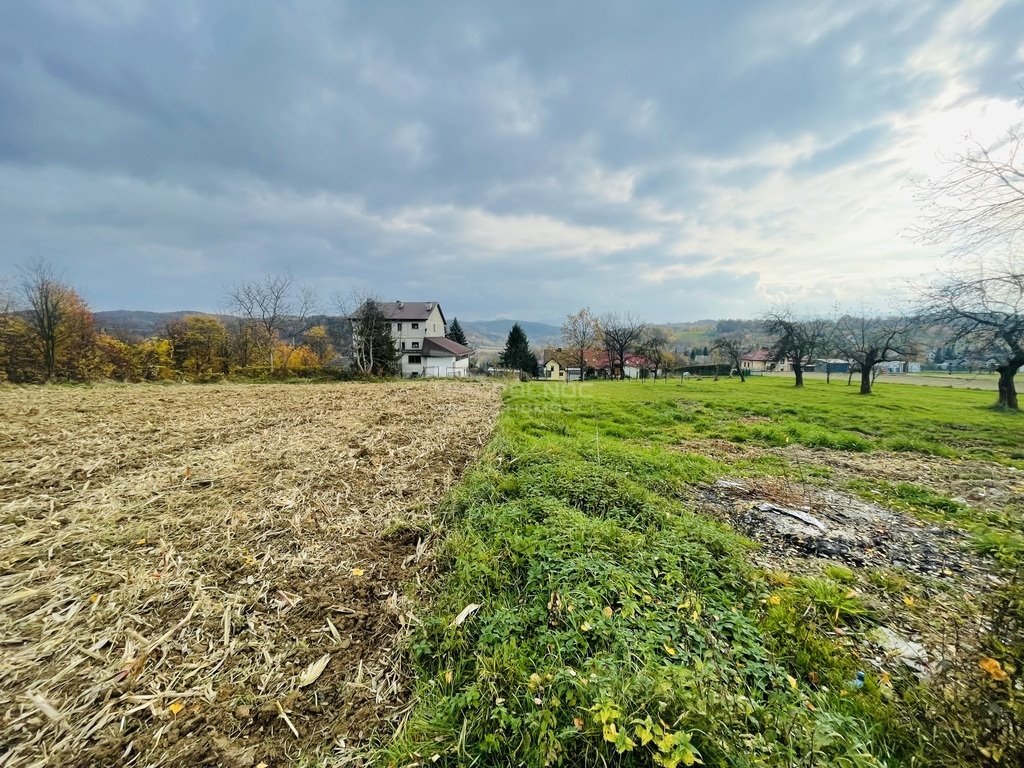 Działka budowlana na sprzedaż Dobczyce, Skrzynecka  7 600m2 Foto 2