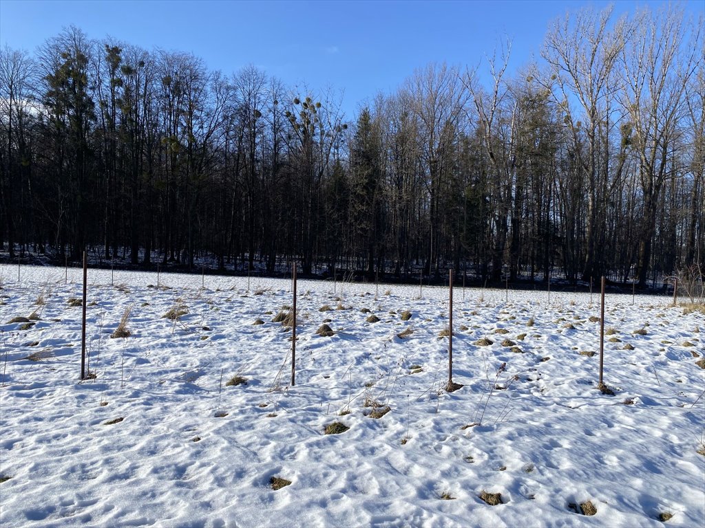 Działka budowlana na sprzedaż Cisownica, Cisownica, Jana Ożany  729m2 Foto 6