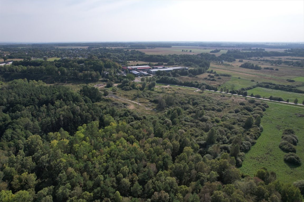 Działka rolna na sprzedaż Bruskowo Wielkie  5 000m2 Foto 7