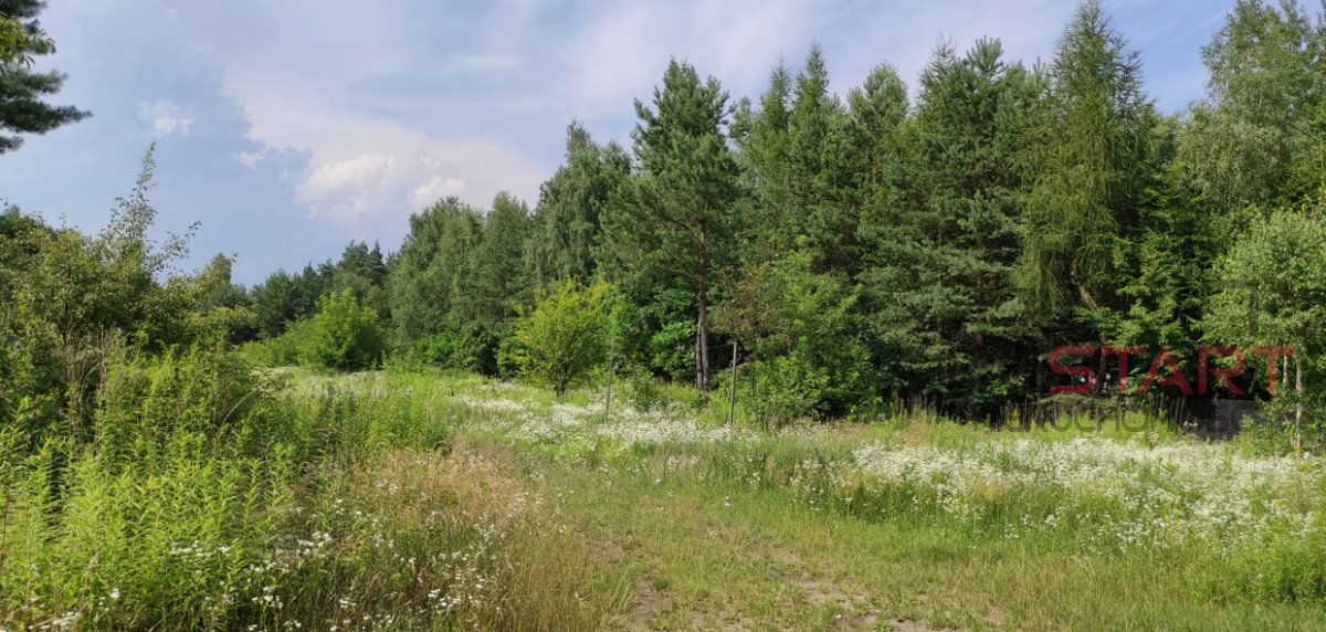 Sprzedam działkę 13 321 m² pod inwestycję w Łosiu Łoś  13 321m2 Foto 1