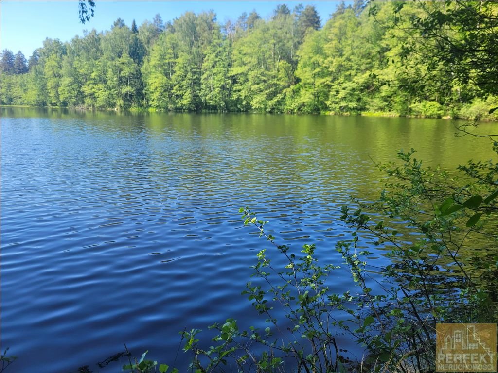 Działka rolna na sprzedaż Gamerki Wielkie, Gamerki Wielkie, W Sąsiedztwie Lasu  3 002m2 Foto 6