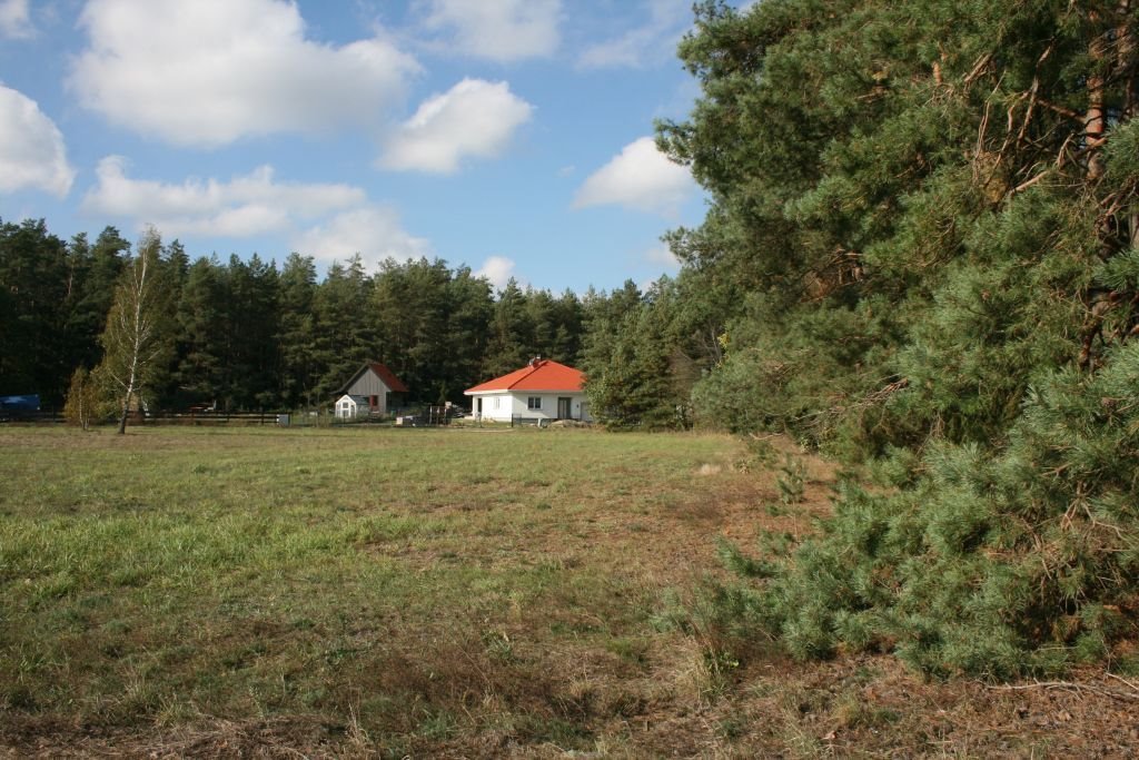 Działka budowlana na sprzedaż Zabielne  1 154m2 Foto 5