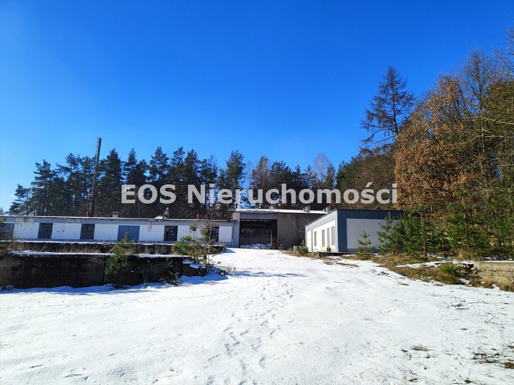 Lokal użytkowy na sprzedaż Pasieka  1 264m2 Foto 1
