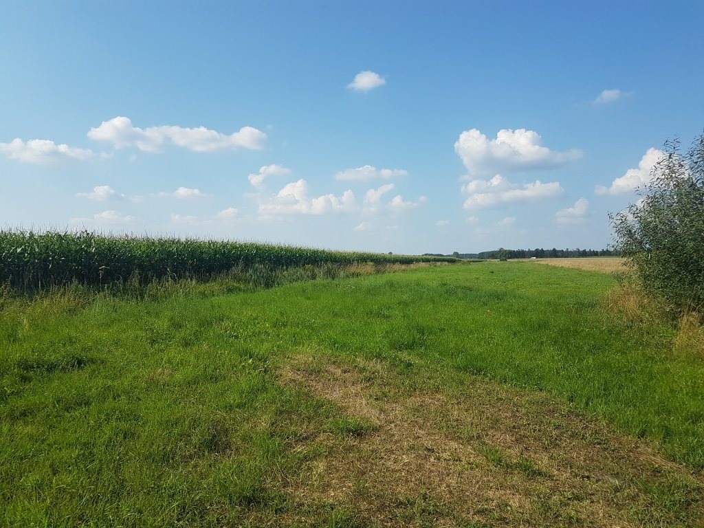 Zapraszam do zakupu uzbrojonej działki w Michałowie 1ha z warunkami zabudowy Michałów  9 540m2 Foto 1