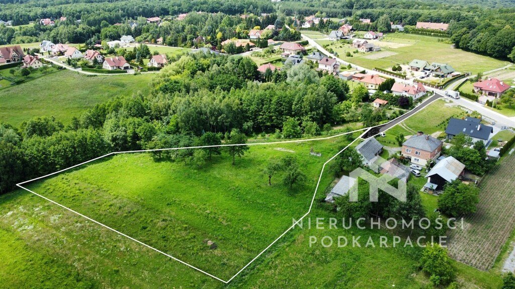 Sprzedam działkę 7 600 m² z warunkami zabudowy w Krasnem Krasne  7 600m2 Foto 1