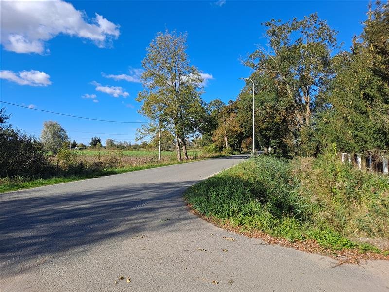 Lokal użytkowy na wynajem Raczki Elbląskie, Raczki Elbląskie  300m2 Foto 5