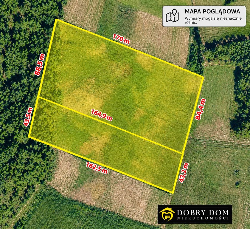 Działka rolna 2,11 ha z dojazdem, Natura 2000 - polecam! Michałowo  21 100m2 Foto 1