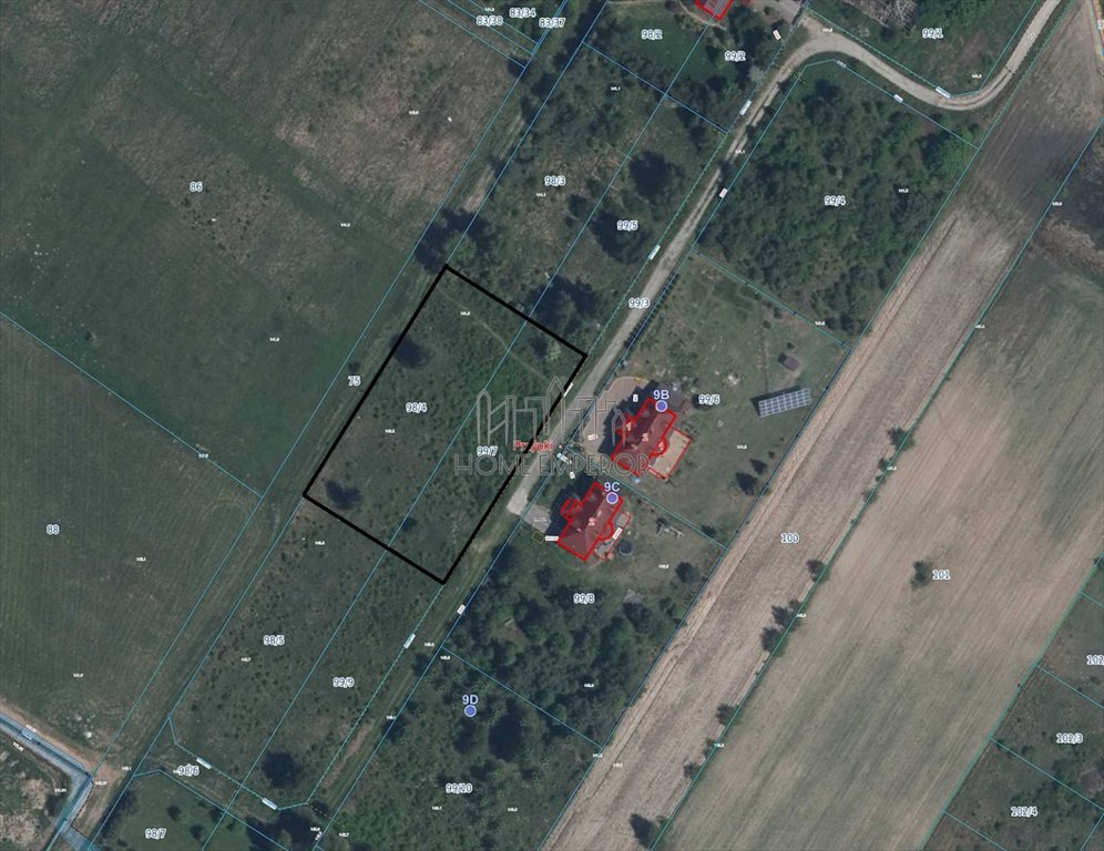 Działka budowlana na sprzedaż Przypki, Olszowa  3 000m2 Foto 3