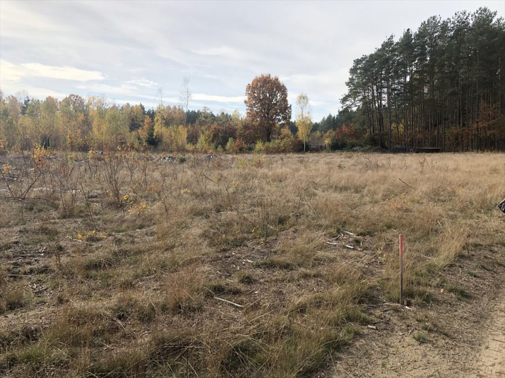 Działka budowlana na sprzedaż Grabówka  976m2 Foto 3