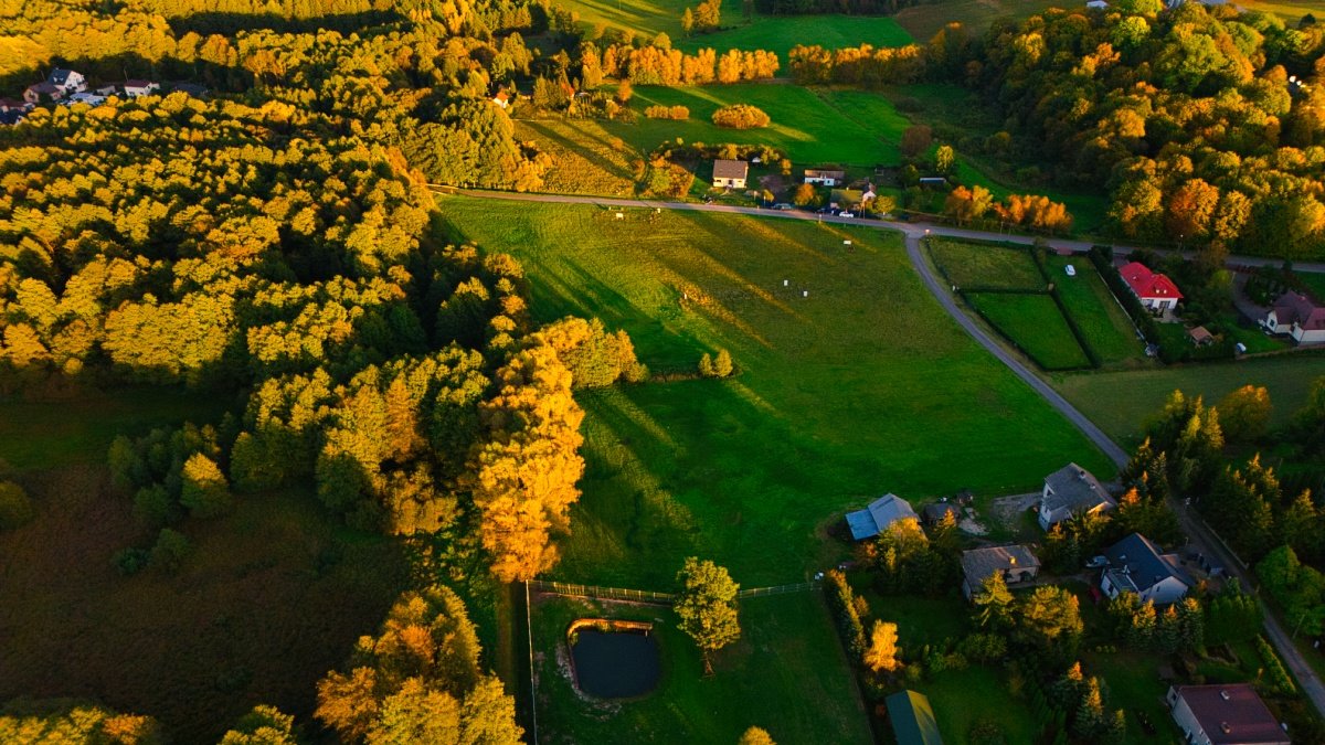 Działka budowlana na sprzedaż Kampinos, Partyzantów  1 687m2 Foto 2