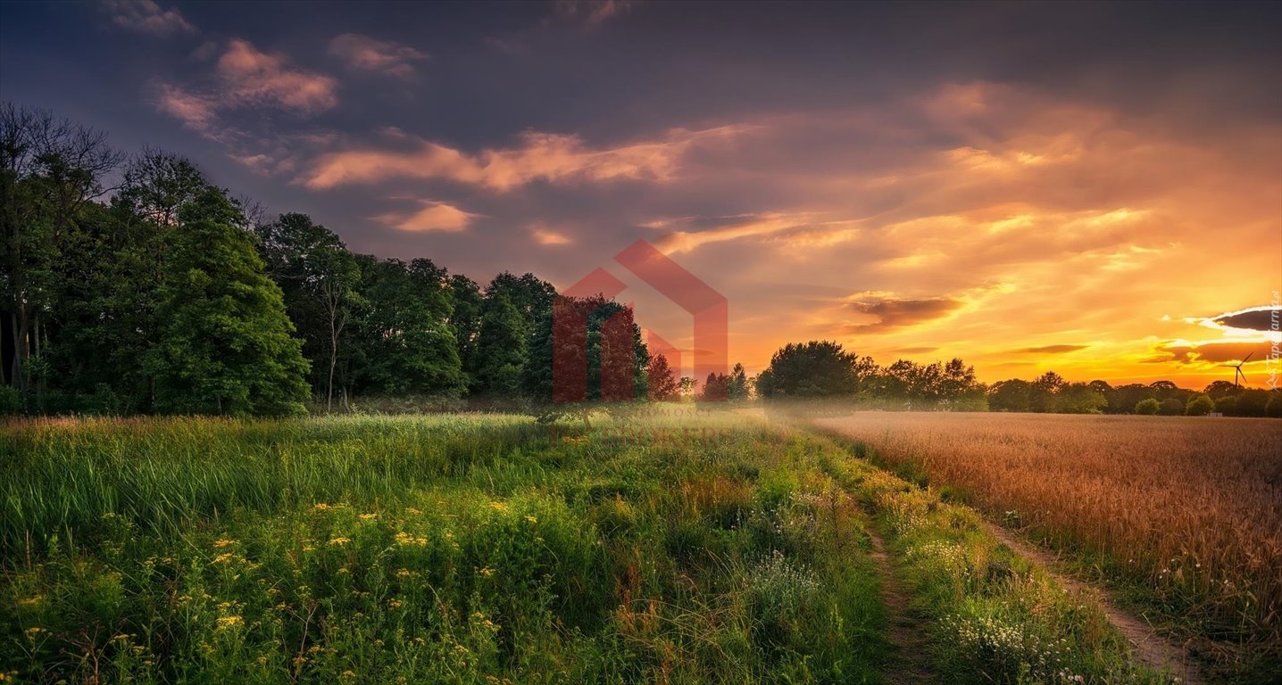 Działka budowlana na sprzedaż Brzezówka  5 300m2 Foto 1