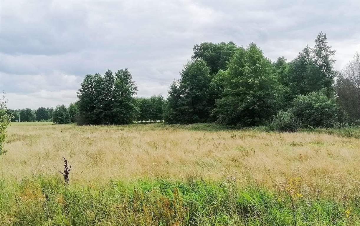 Działka w Płozy z mediami, lasy i łąki, 1083 m² Płozy  1 082m2 Foto 1