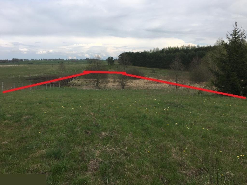 Działka rolna na sprzedaż Goleń  4 238m2 Foto 8