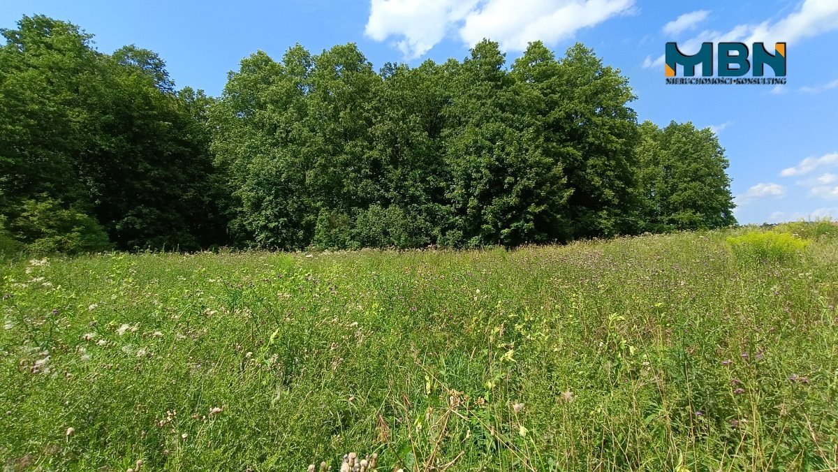 Działka rolna na sprzedaż Pozezdrze, Pieczarki  1 300m2 Foto 12