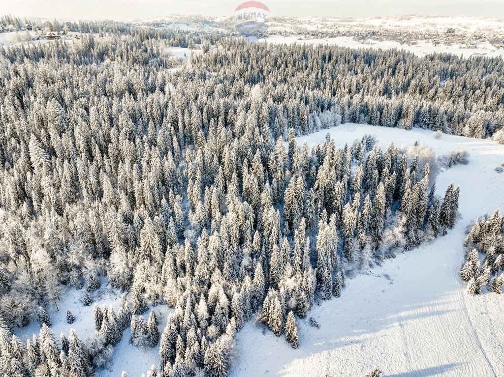 Działka rolna na sprzedaż Bukowina Tatrzańska  7 839m2 Foto 16