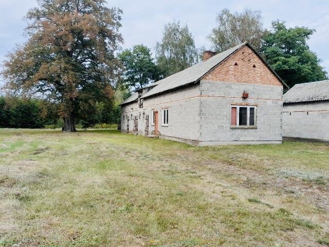 Działka siedliskowa na sprzedaż Pawłów  11 200m2 Foto 1