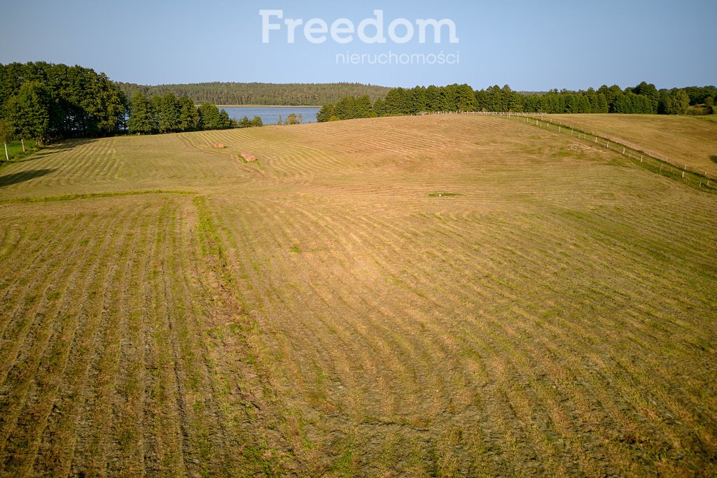 Działka budowlana na sprzedaż Lipowo  38 700m2 Foto 9