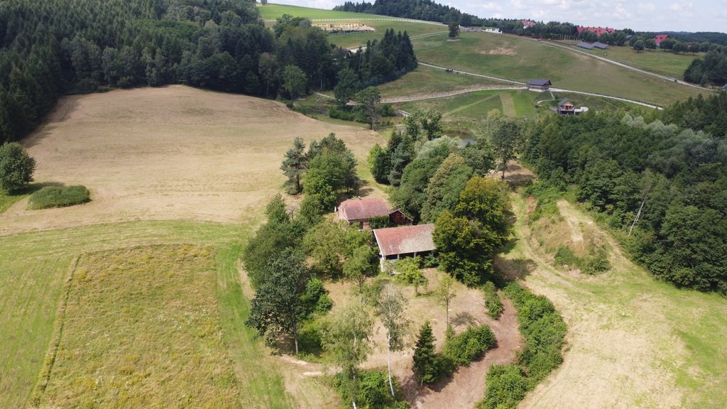 Działka budowlana na sprzedaż Lutcza  107 000m2 Foto 6