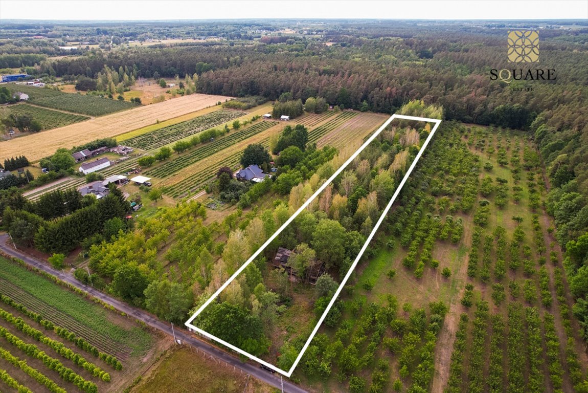 Działka 1,02 ha z domem i schronem w Michrowie Michrów  10 200m2 Foto 1