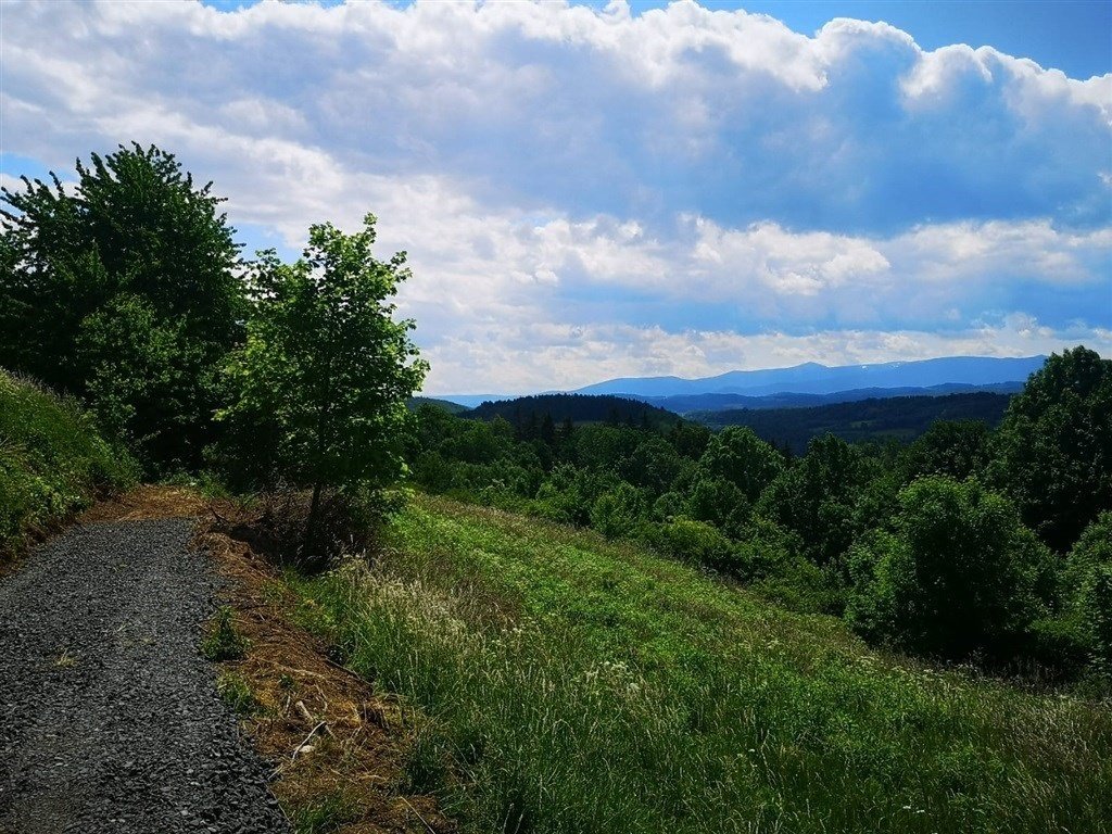 Działka inna na sprzedaż Radomice  1 066m2 Foto 4