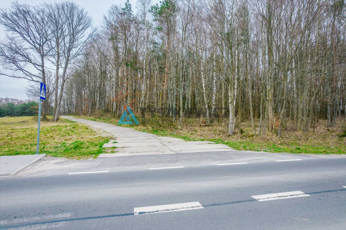 Działka budowlana na sprzedaż Głobino  6 400m2 Foto 9