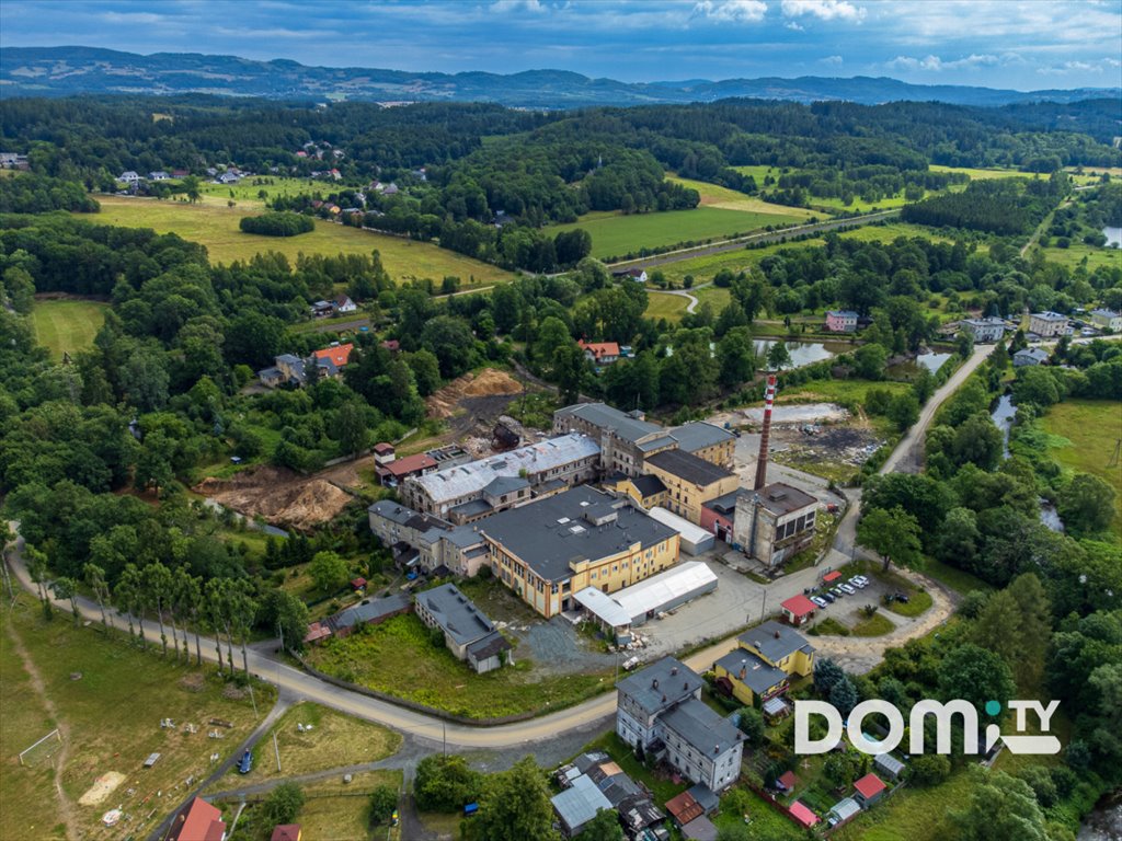 Lokal użytkowy na sprzedaż Dąbrowica  11 500m2 Foto 42