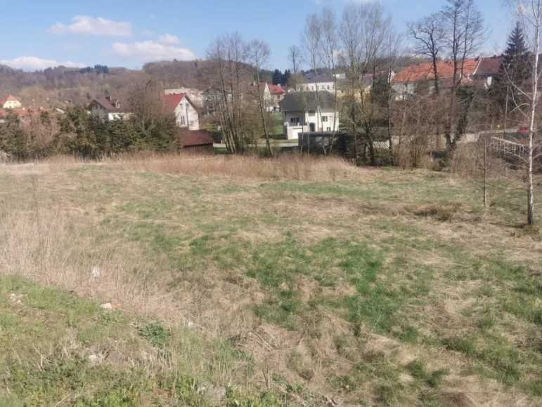 Działka inna na sprzedaż Lewin Kłodzki  2 524m2 Foto 4