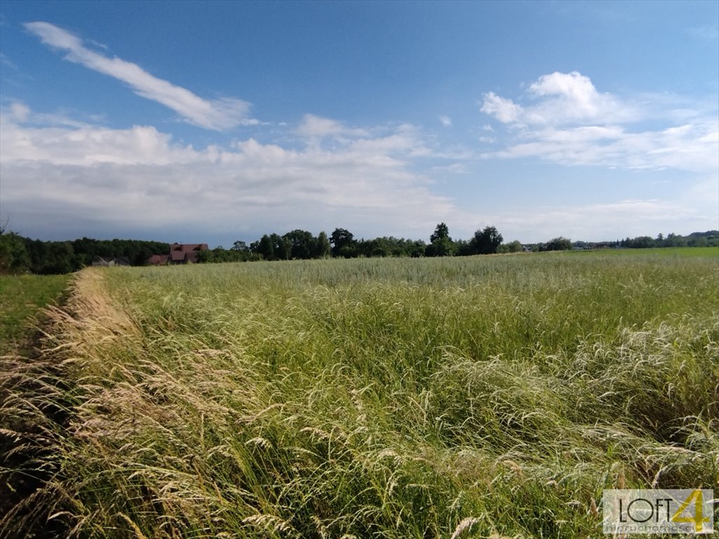 Działka inna na sprzedaż Dąbrowa Tarnowska, Żabieńska, Bagienica  1 850m2 Foto 9