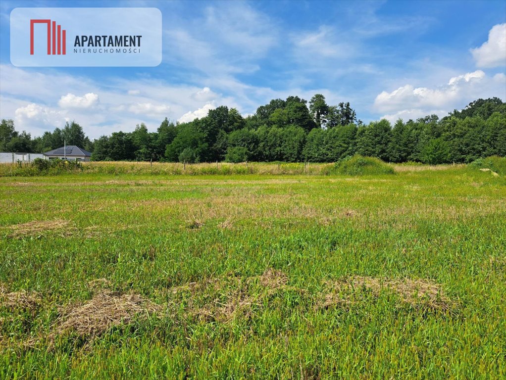 Działka budowlana na sprzedaż Wały  1 100m2 Foto 1