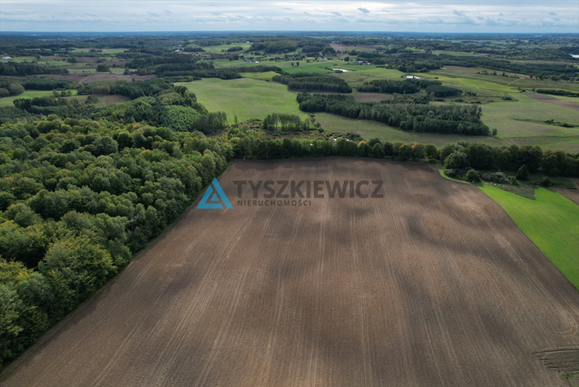 Działka rolna na sprzedaż Roztoka, Lipowa  3 001m2 Foto 11