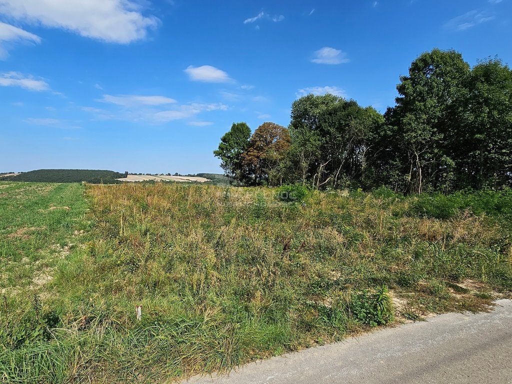 Działka rolna na sprzedaż Racławice  11 100m2 Foto 6