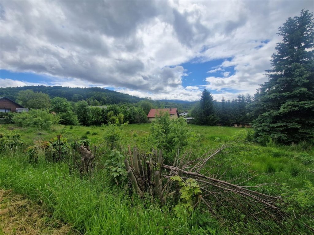 Na sprzedaż działka 2996 m² z widokiem na Zamek Księcia Henryka Sosnówka, Liczyrzepy  2 996m2 Foto 1