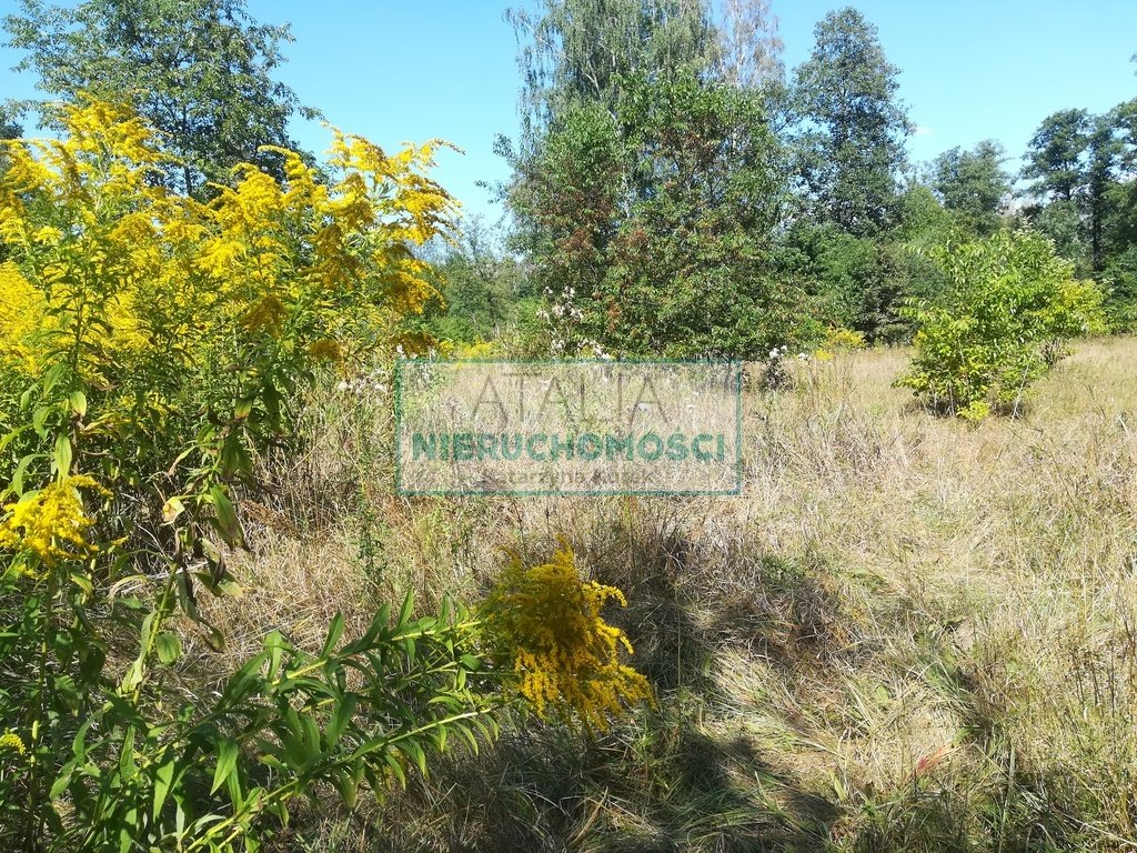 Działka zalesiona 19 900 m² pod domy jednorodzinne polecam Milanówek  19 900m2 Foto 1