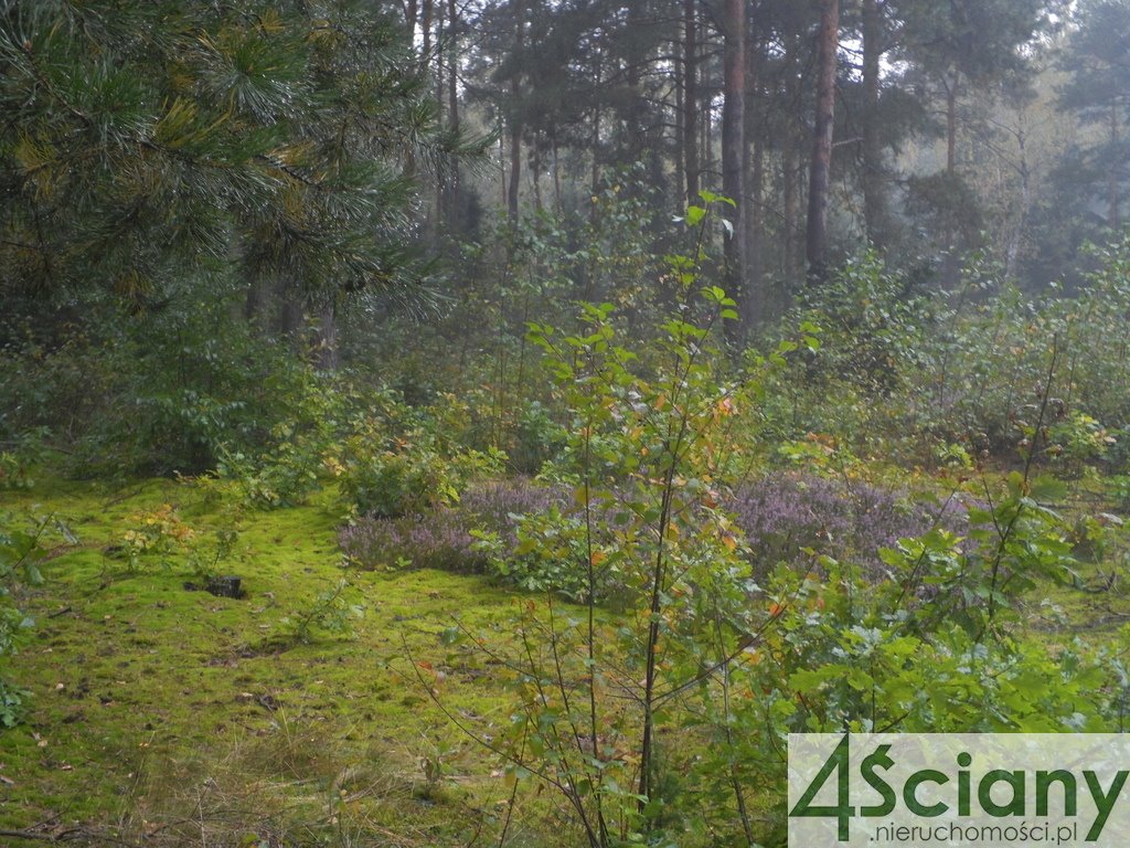 Działka budowlana na sprzedaż Warszawa, Wawer, Wiśniowa Góra  2 400m2 Foto 3