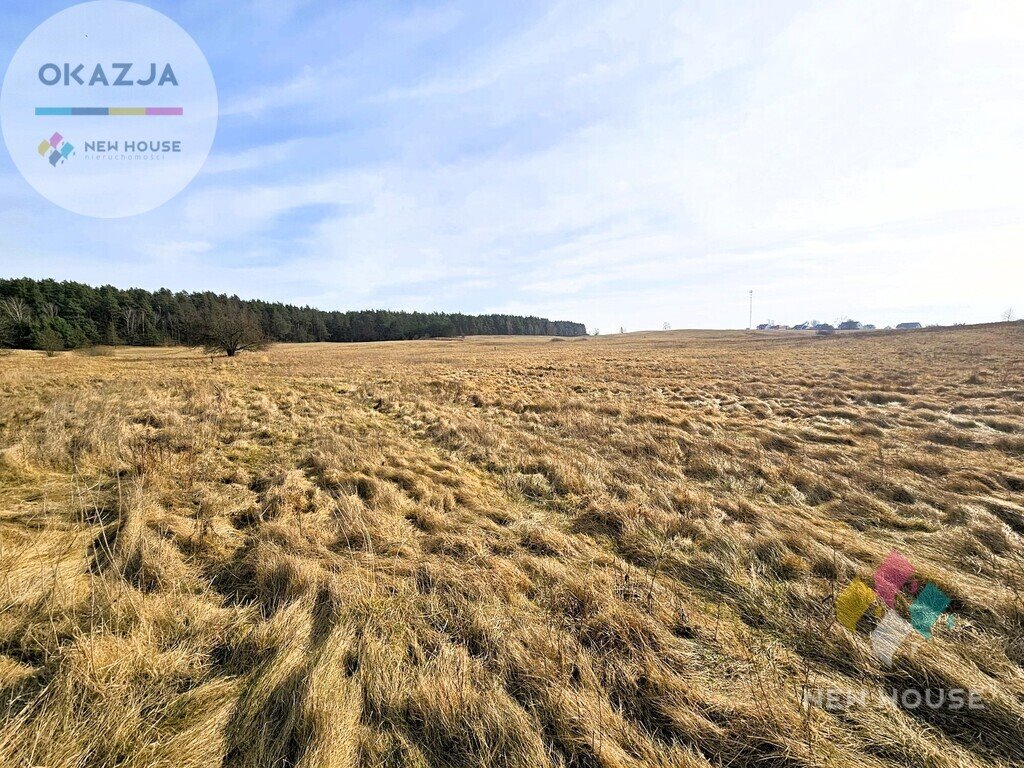 Działka budowlana na sprzedaż Wójtowo  1 504m2 Foto 6