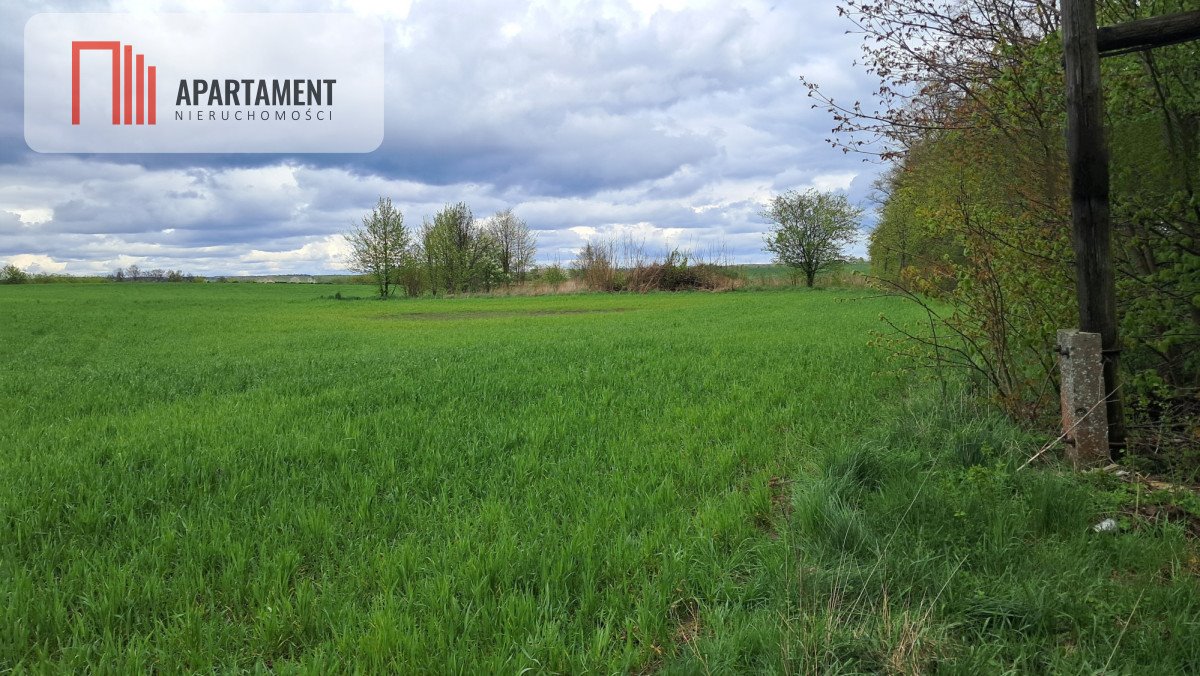 Działka budowlana na sprzedaż Skarszewy  1 000m2 Foto 18