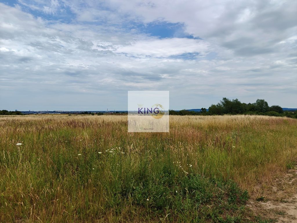 Działki rolne z potencjałem mieszkaniowym w Karwowie (3001-3069 m²) Karwowo  3 001m2 Foto 1