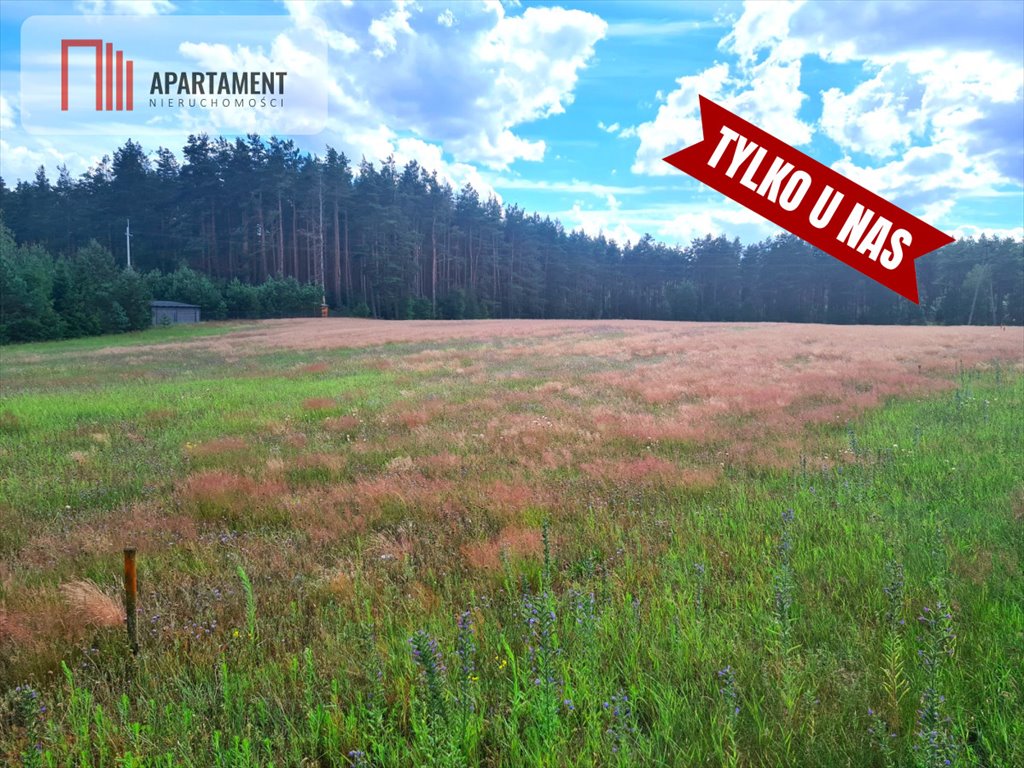 Działka budowlana na sprzedaż Nowa Kiszewa  1 106m2 Foto 5