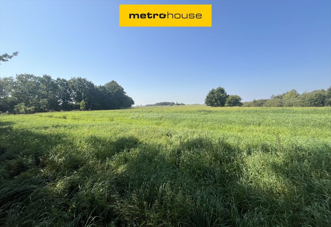 Działka budowlana na sprzedaż Włodarka  1 013m2 Foto 1