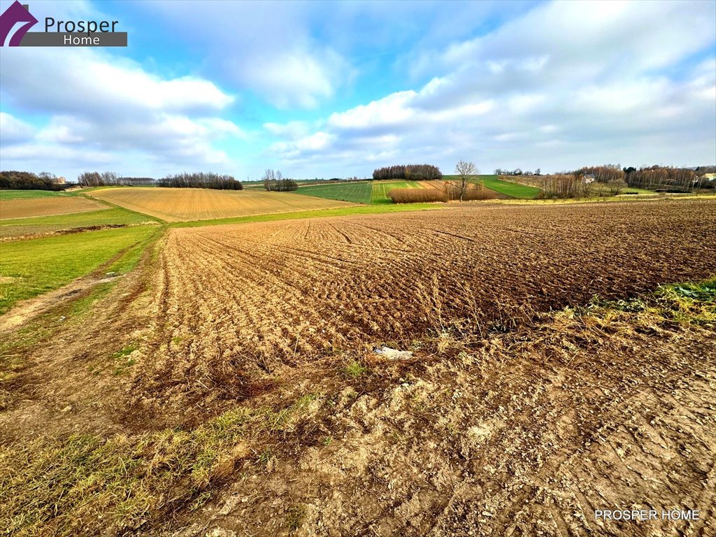 Działka rolna na sprzedaż Wola Zgłobieńska, Wola Zgłobieńska  4 400m2 Foto 1