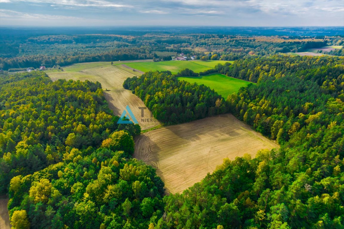 Działka rolna na sprzedaż Gołubie  102 067m2 Foto 12