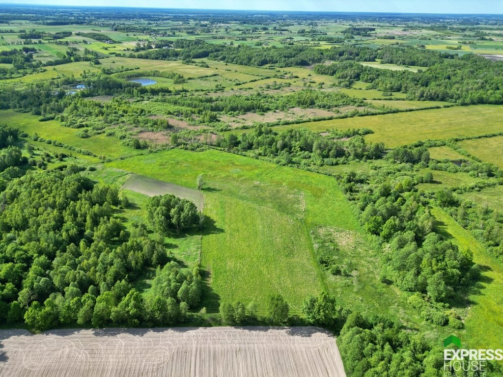 Działka leśna na sprzedaż Świerszczów  12 100m2 Foto 4