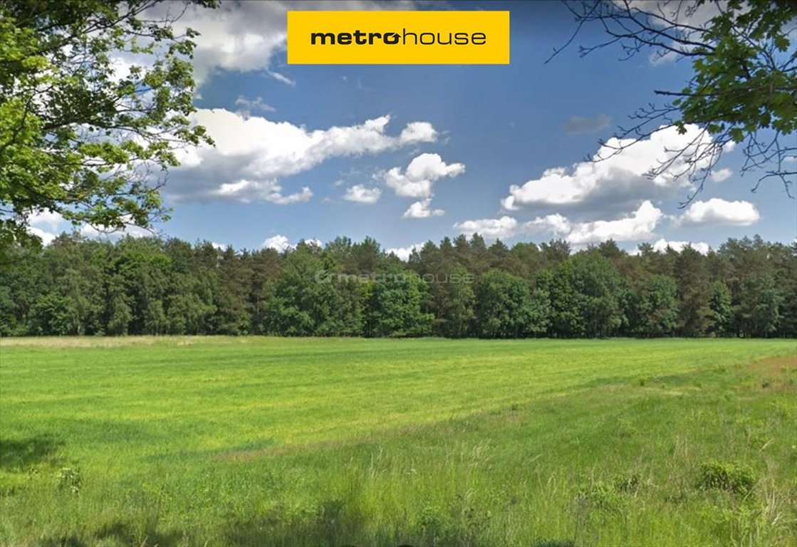 Do sprzedania działka rolna 11,3 ha z dostępem do asfaltu Owińska  113 000m2 Foto 1