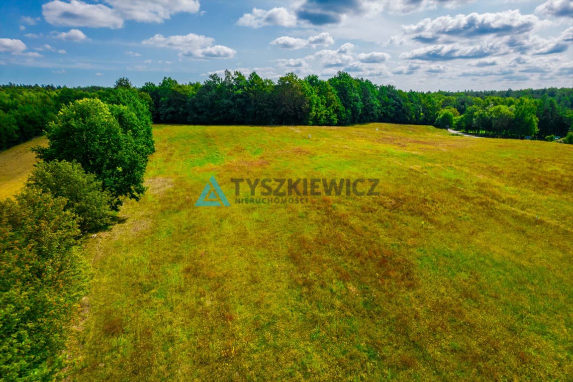 Działka budowlana na sprzedaż Nowa Wieś Przywidzka  1 216m2 Foto 10