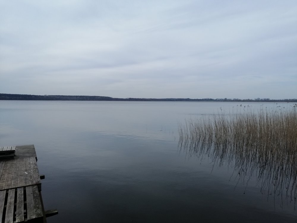 Duża działka 1,61 ha z linią jeziora - polecam! Dąbrowa  16 100m2 Foto 1