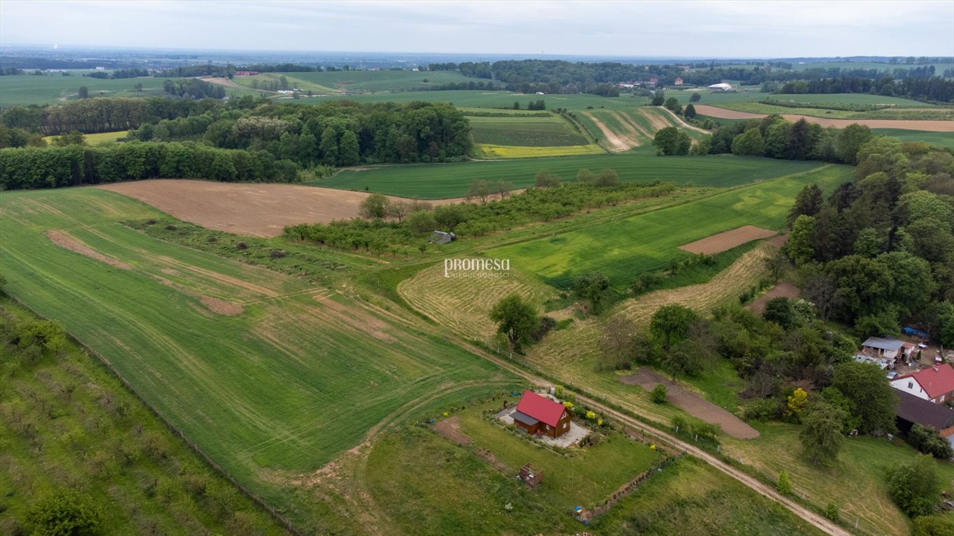 Działka inna na sprzedaż Głuchów Górny, Malinowa  1 045m2 Foto 1